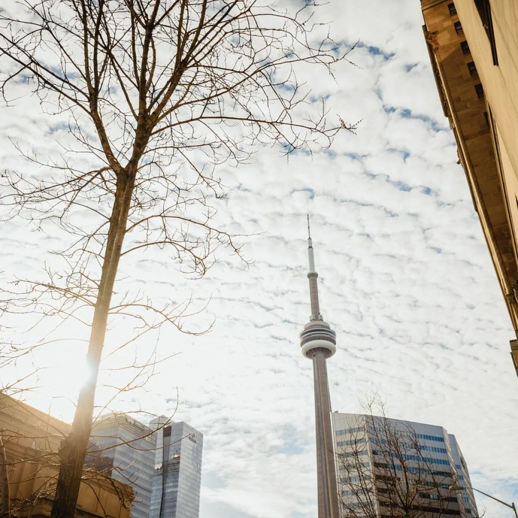 Feux de forêt Toronto