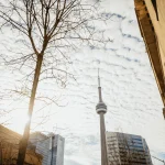 Feux de forêt Toronto