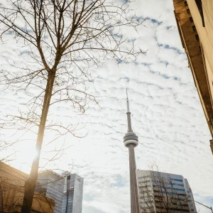 Feux de forêt Toronto