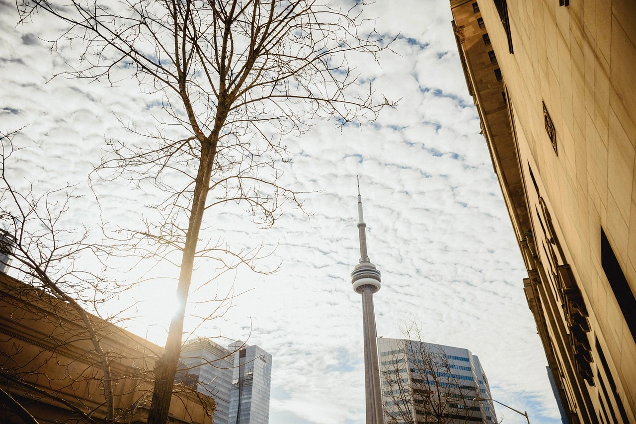 Feux de forêt Toronto