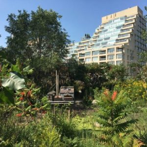 Visite, guide, francophone, historitours