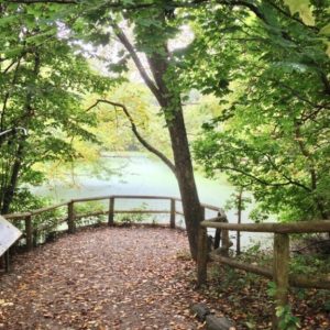 Historitours, Cabbagetown, visite guidée, visite, guide, francophone, toronto