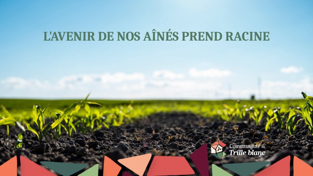 La Communauté du Trille blanc CTB
