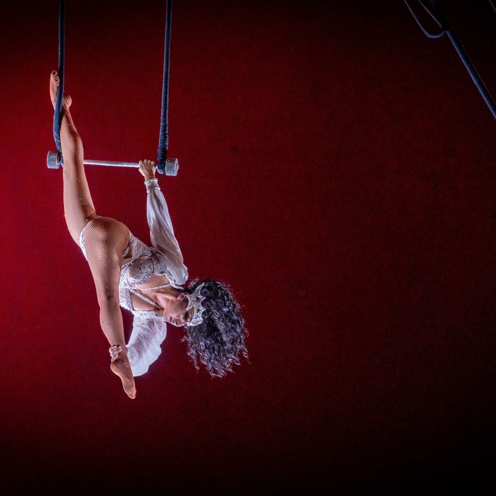 Cirque royal canadien 