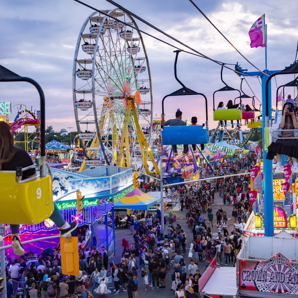 CNE - Découvrez quoi faire ce week-end
