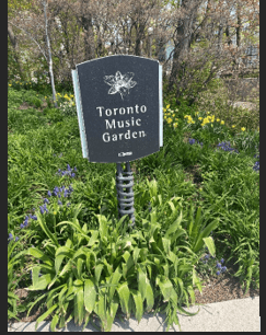 VISITE GUIDÉE Music Garden