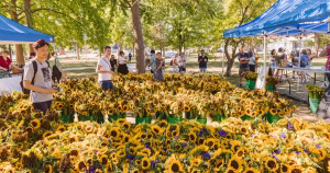 Marché aux fleurs