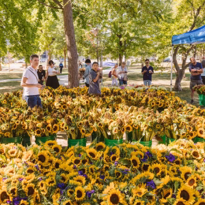 Marché aux fleurs