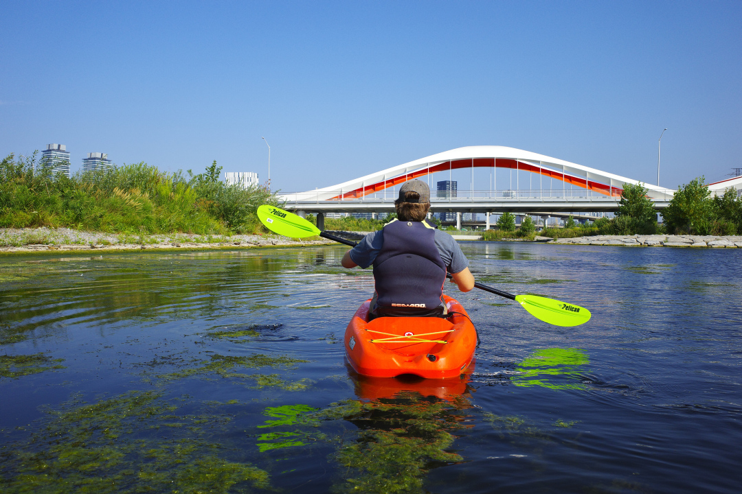 Activité : kayak sur Don