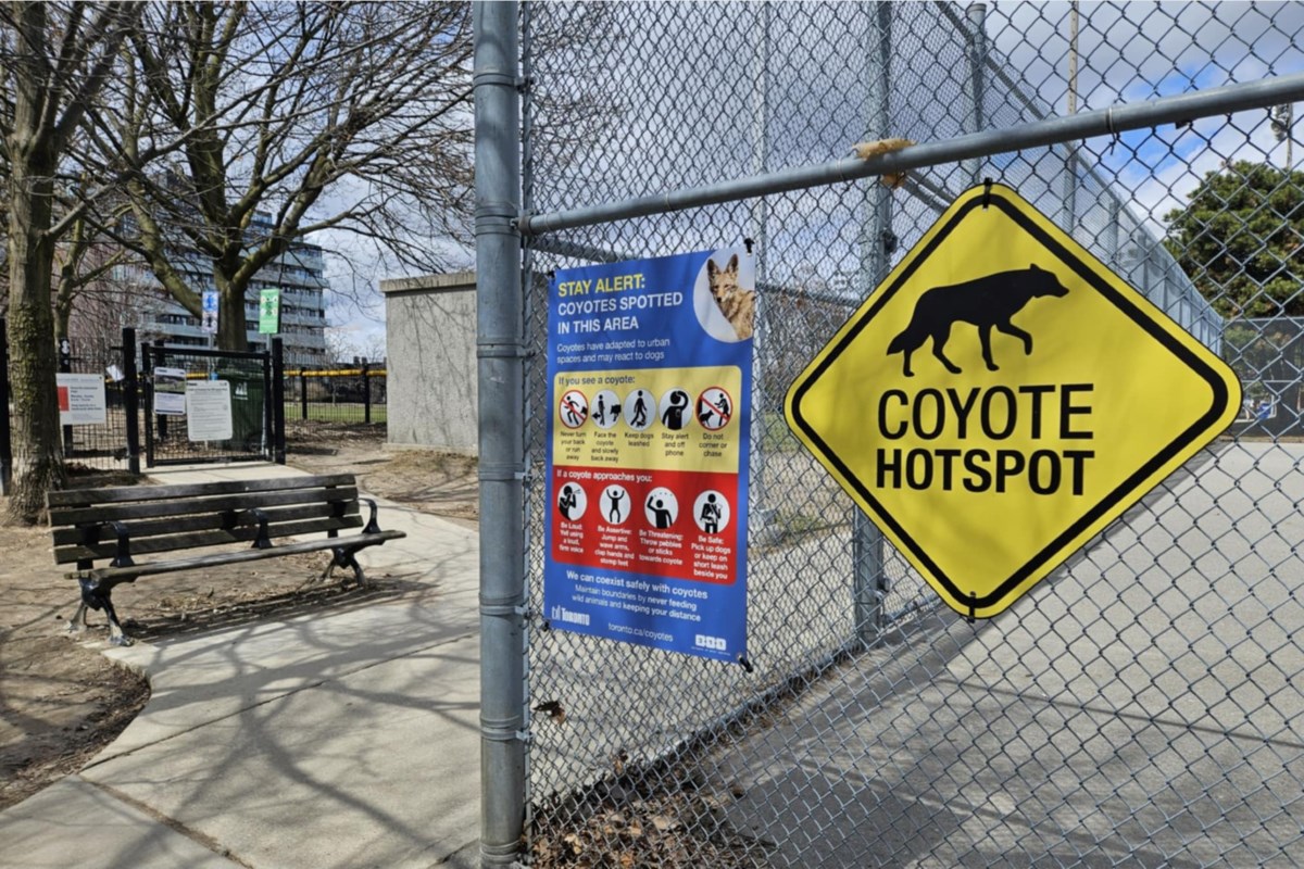 Coyotes hotspot
