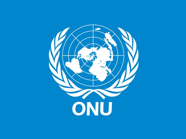 Formations de l'ONU