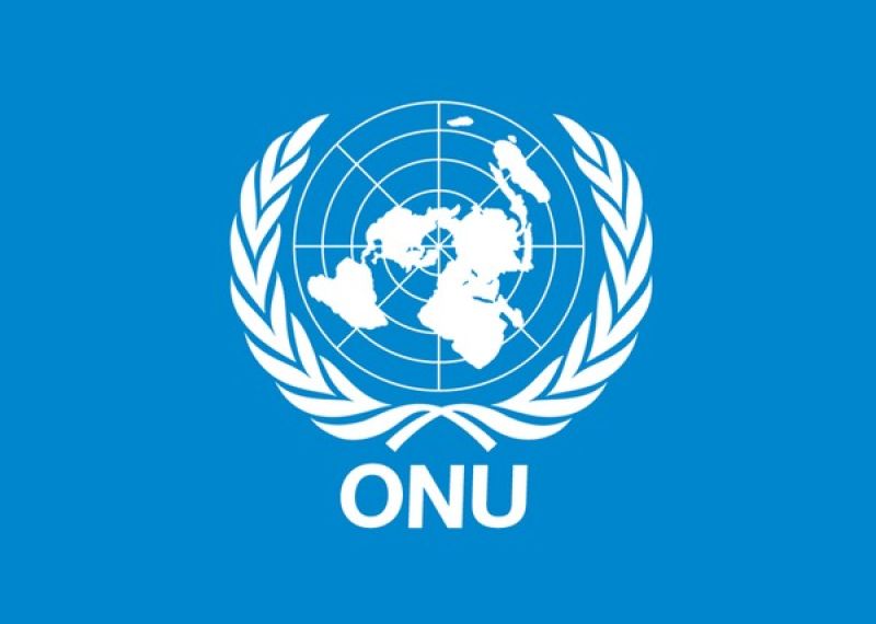 Formations de l'ONU