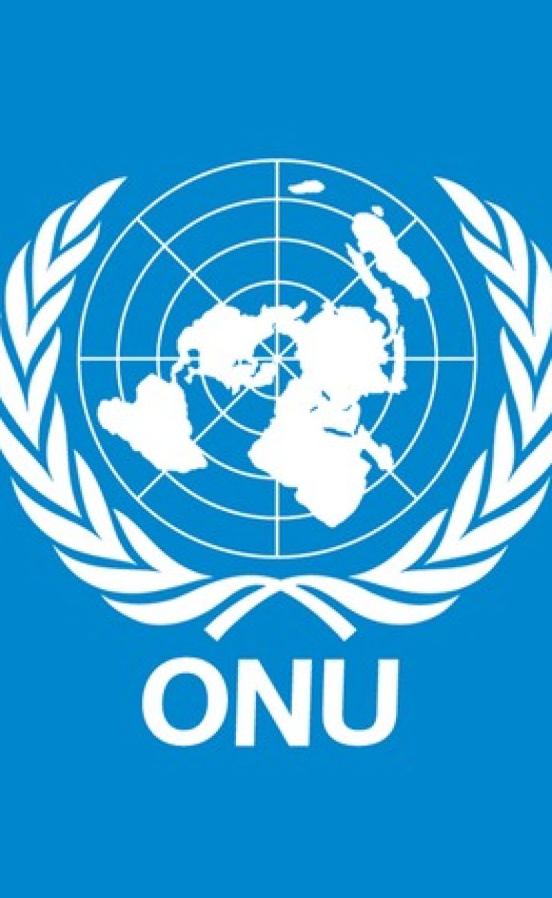 Formations de l'ONU