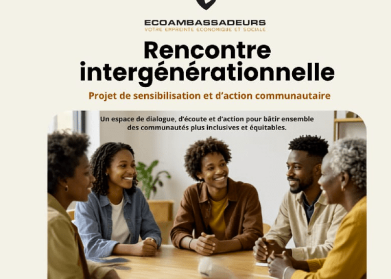 Ce projet s'inscrit en continuité avec les constats dressés par le Plan d'action de Toronto pour lutter contre le racisme anti-Noir,