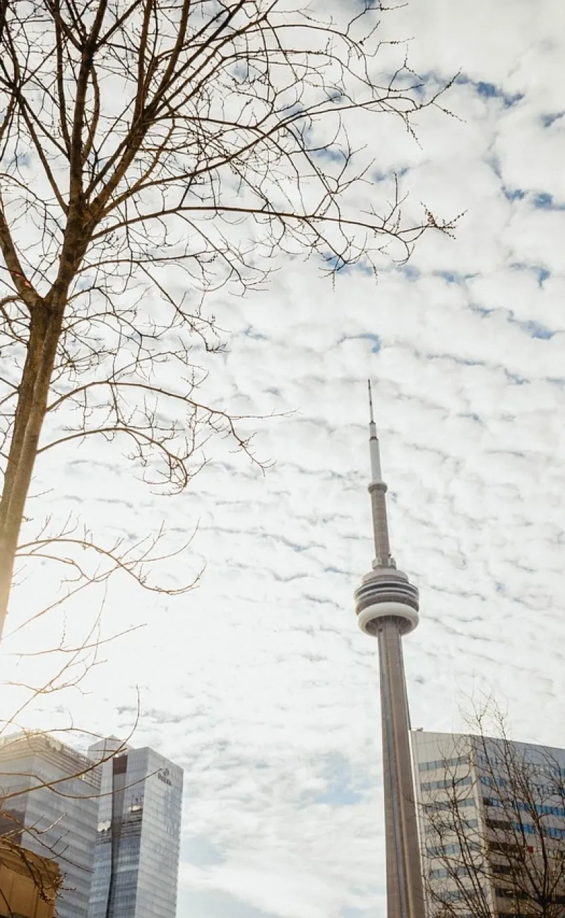 Feux de forêt Toronto